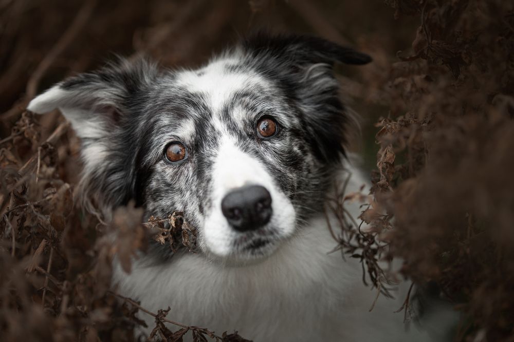 Photograph by Goené Gertrude