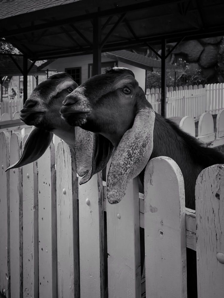 Photograph by Яна Сел