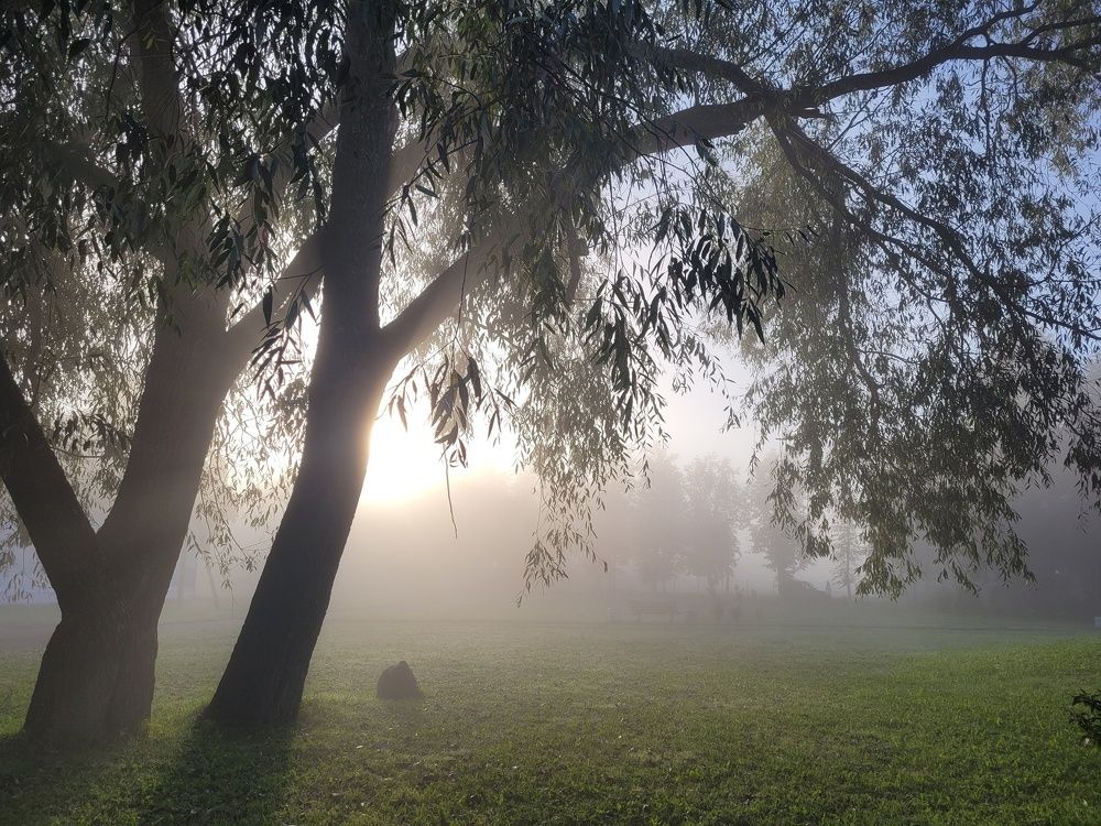 Photograph by Елена Федорова