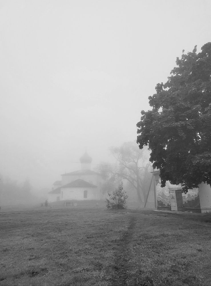 Photograph by Елена Федорова