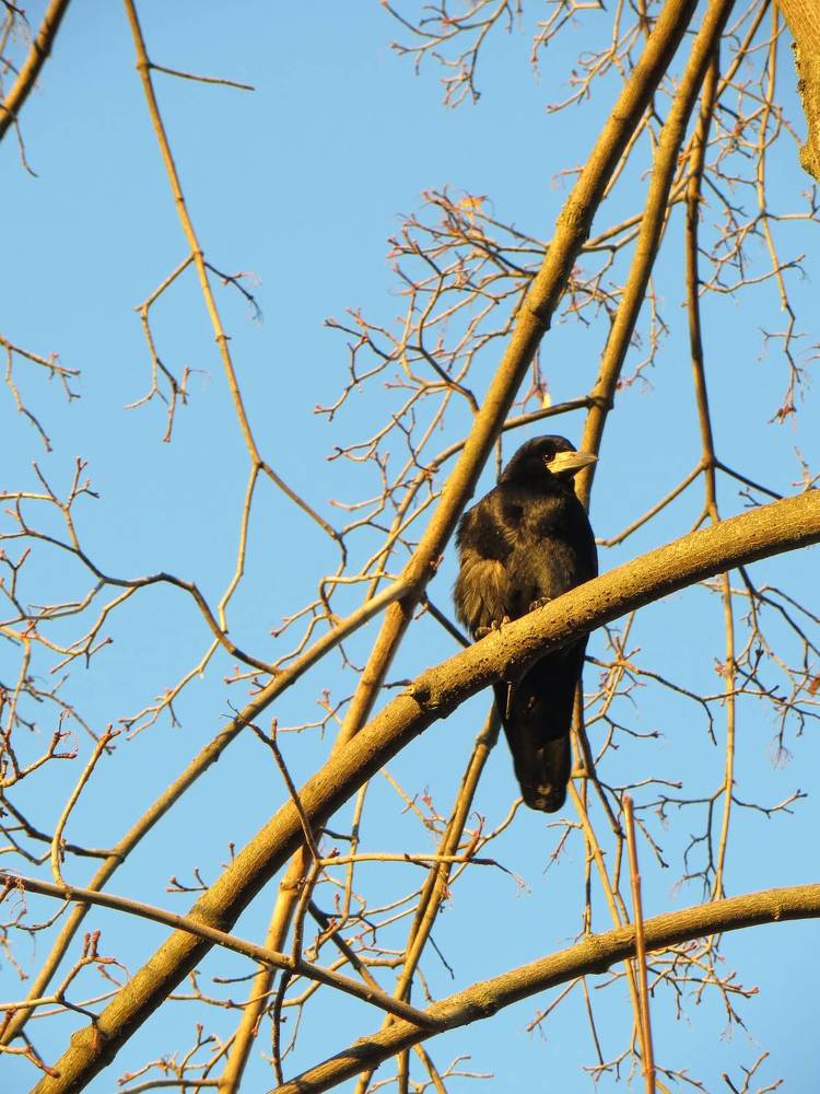 Photograph by Татьяна Поминова