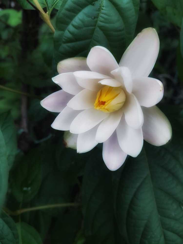 Photograph by megha stuart