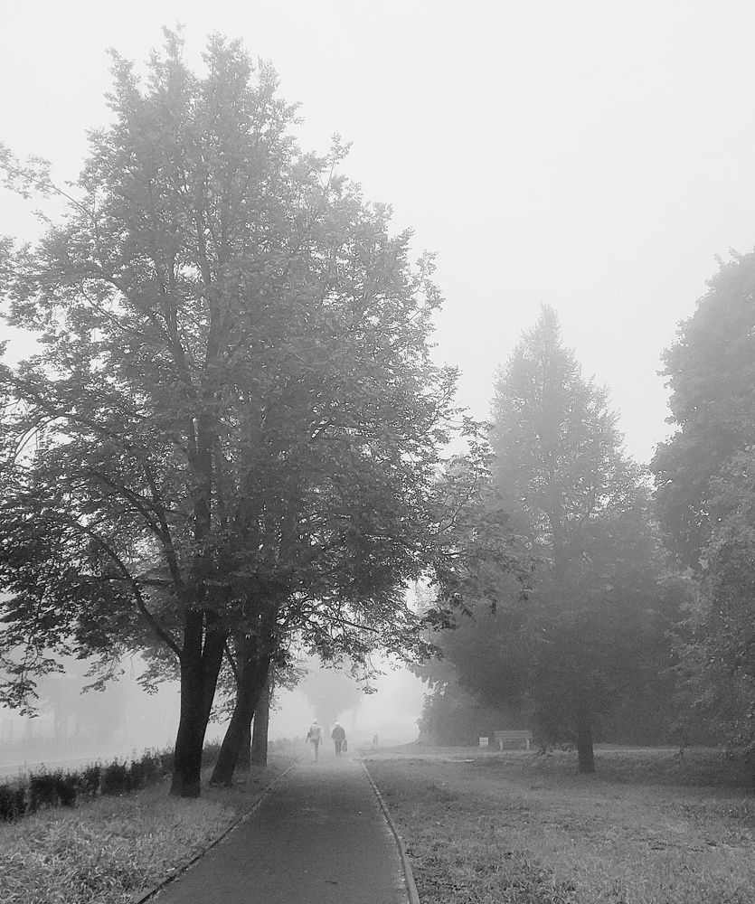 Photograph by Елена Федорова