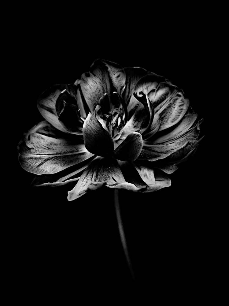 Photograph by Олена Уманцева