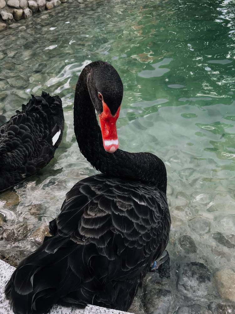 Photograph by Олена Уманцева