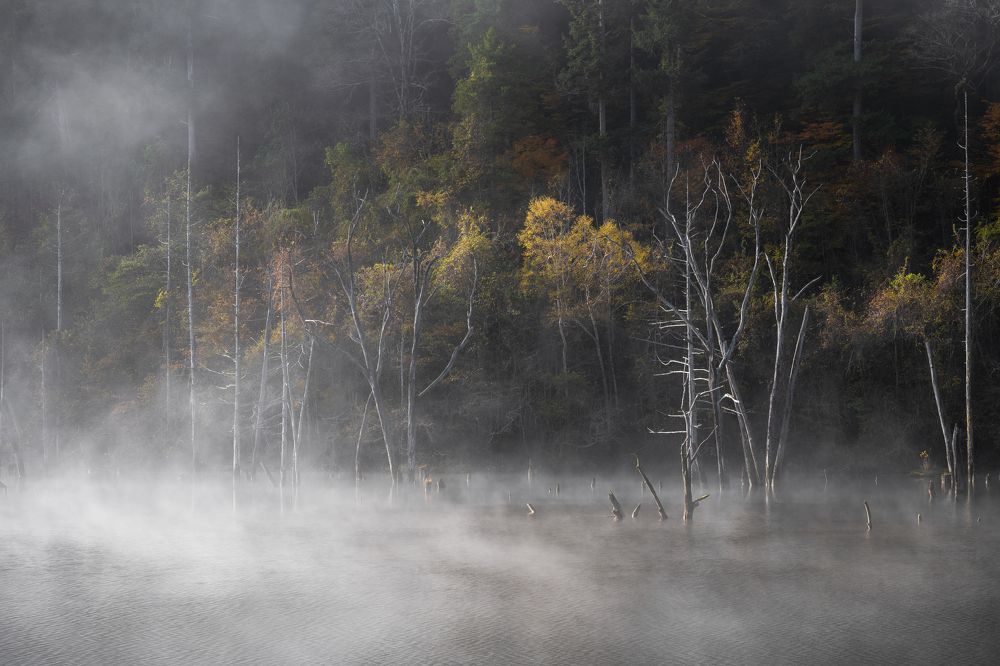 Photograph by Kaneko Atsushi