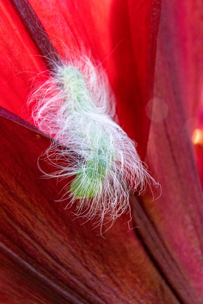 Photograph by Сергей Зайцев