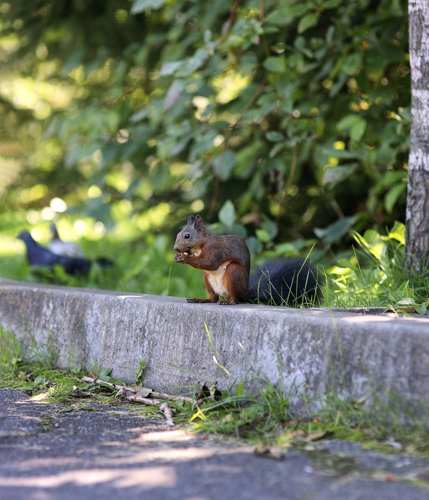 Photograph by Елена Ивашина