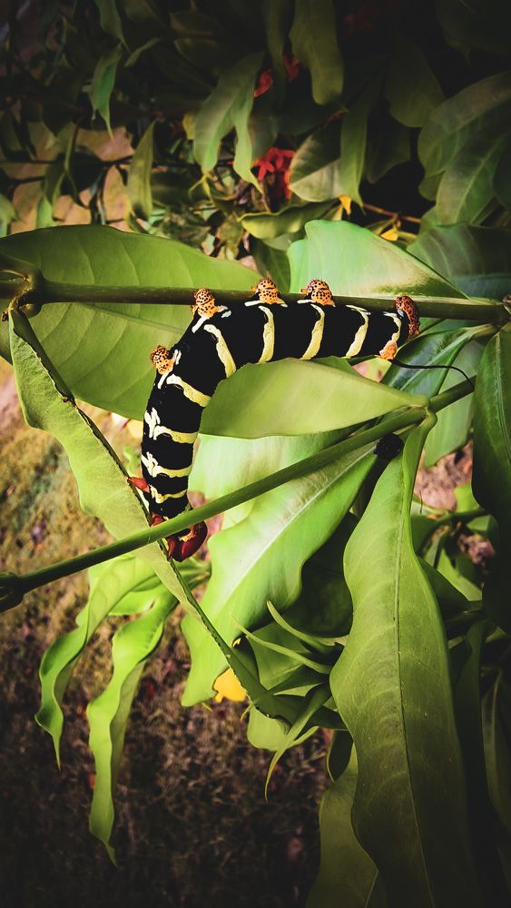 Photograph by Ljudmilla Pavljutsenkova