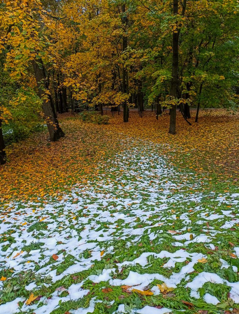 Photograph by Олег Башкуров