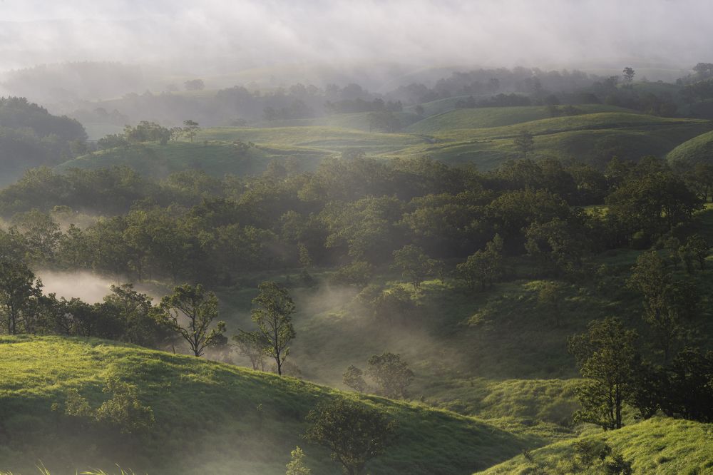 Photograph by Kaneko Atsushi