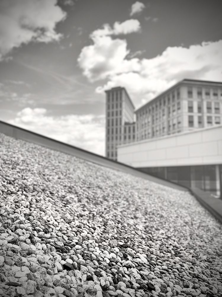 Photograph by Alex Rionir