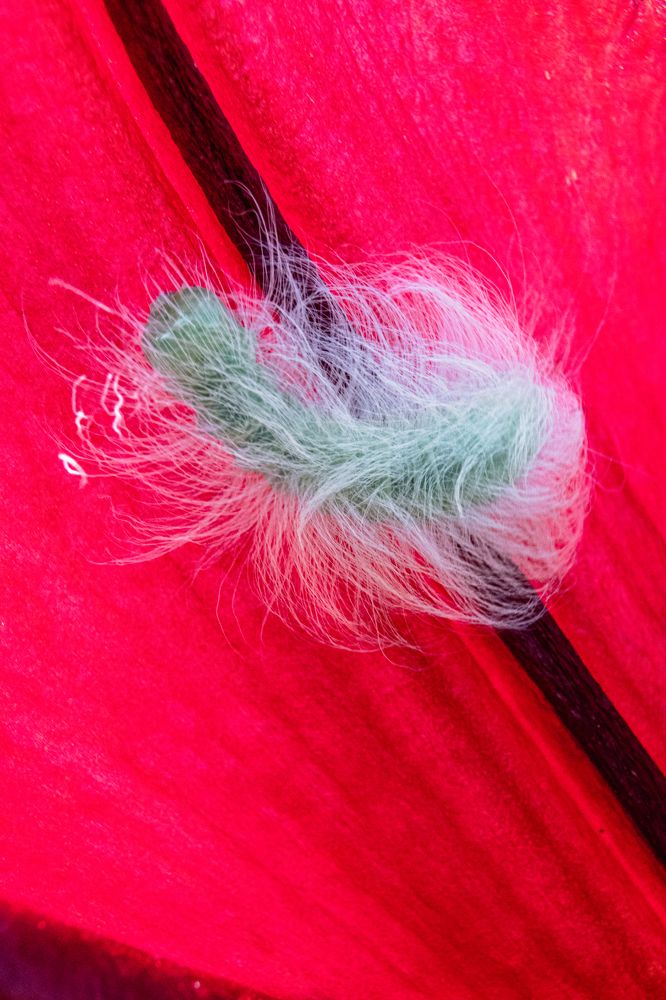 Photograph by Сергей Зайцев