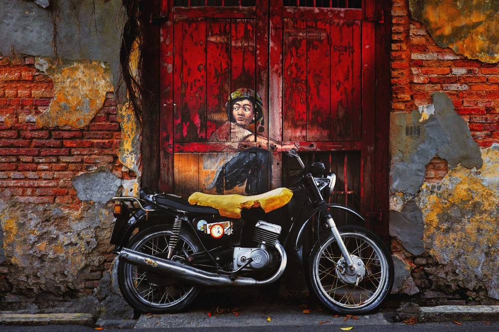 Photograph by moto moto sc