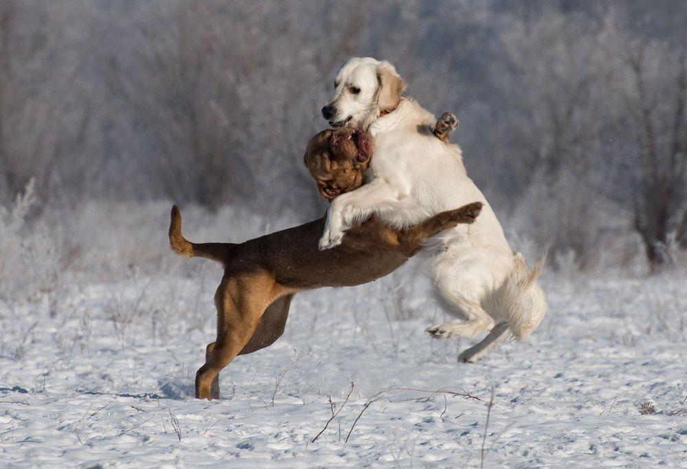 Photograph by Фомина Марина