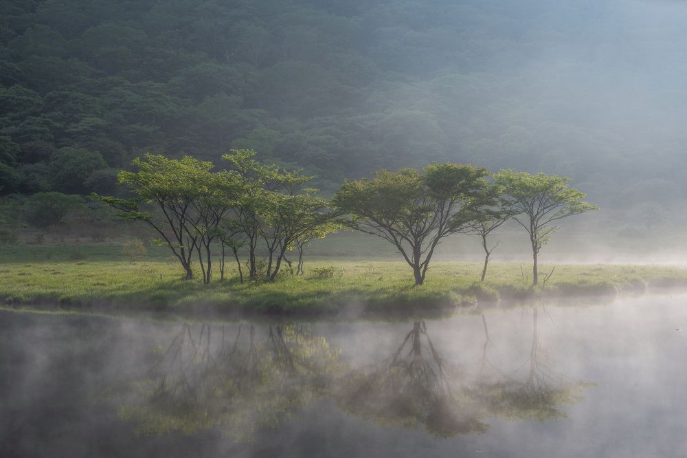 Photograph by Kaneko Atsushi