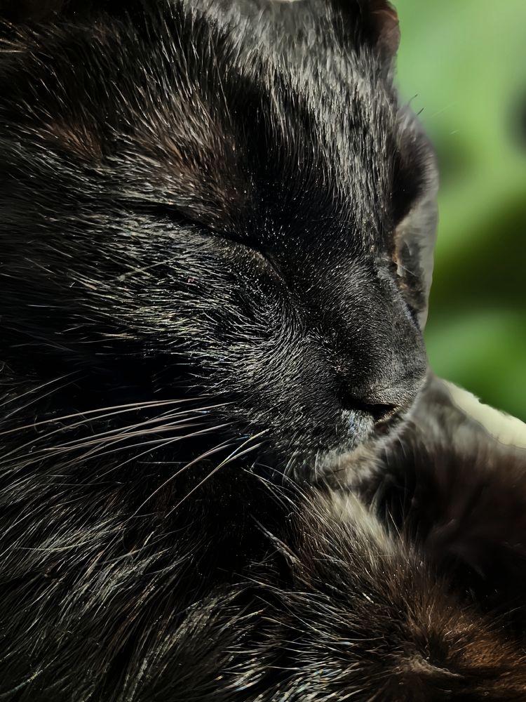 Фотография автора Jeff Cooley