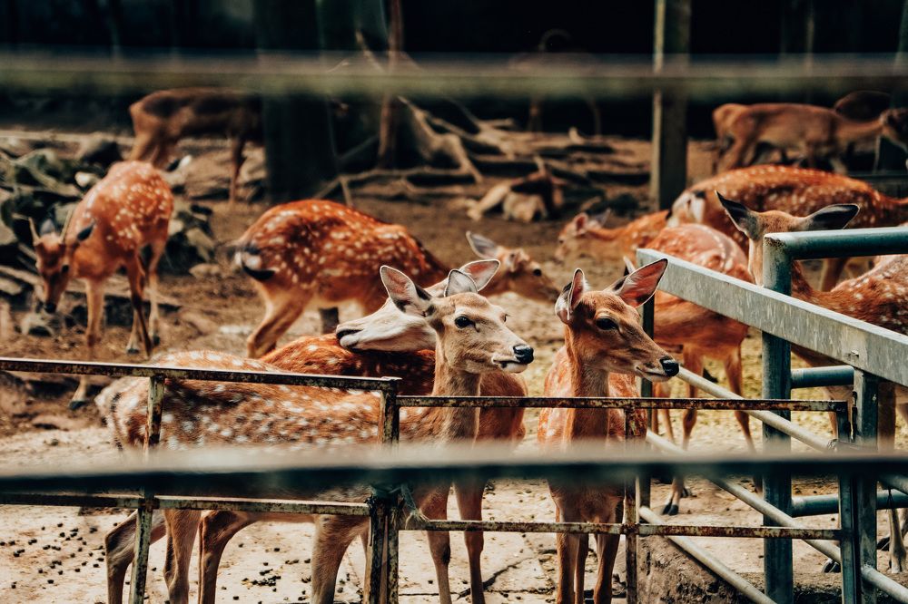 Photograph by yennhi