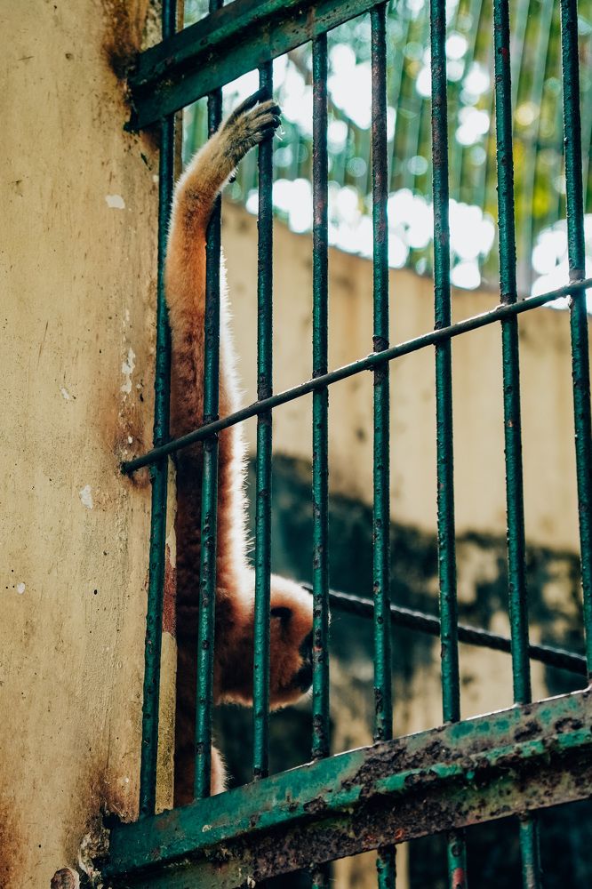 Photograph by yennhi