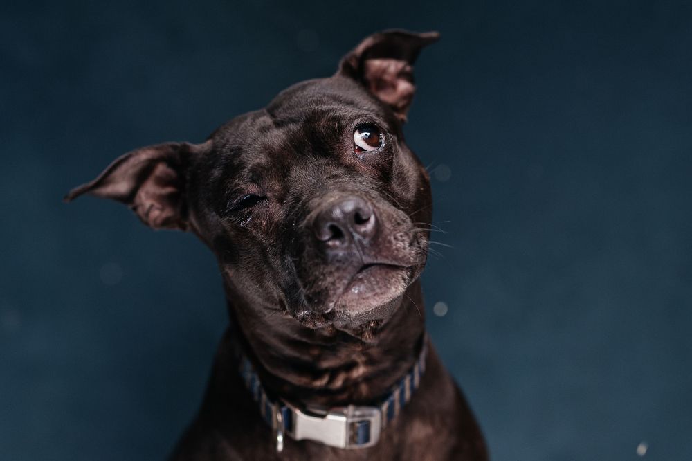 Photograph by Светлана Федяева