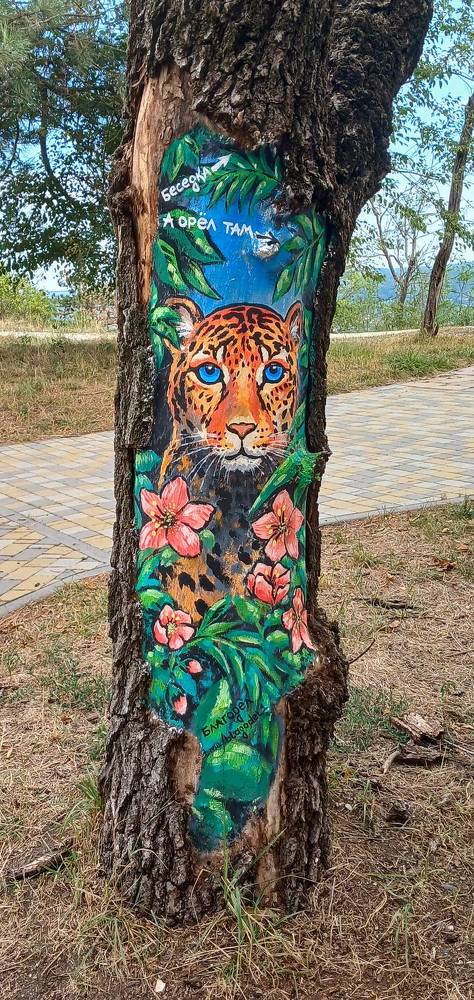 Фотография автора Valerya Vasileva