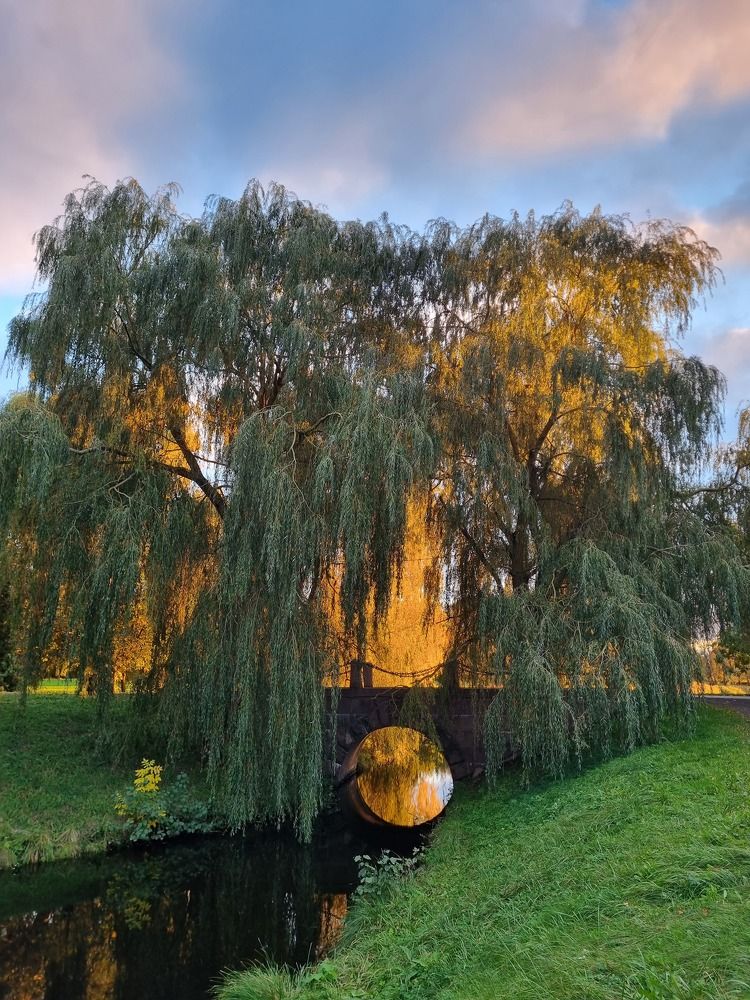 Photograph by Julia Kosenchuk