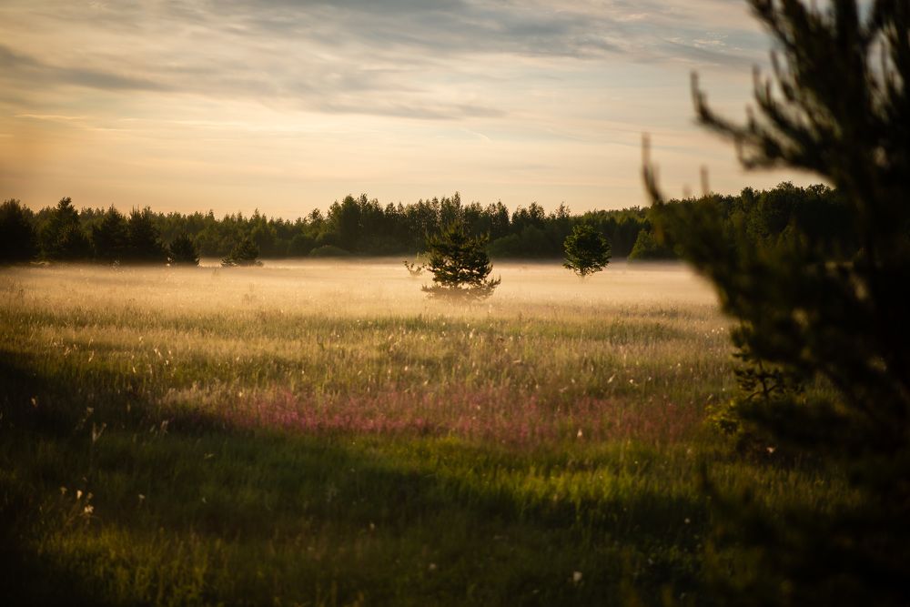 Photograph by Светлана Субботина