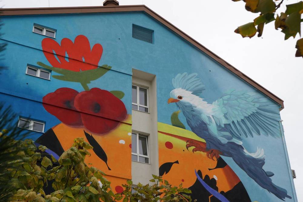 Photograph by Артём Пархоменко