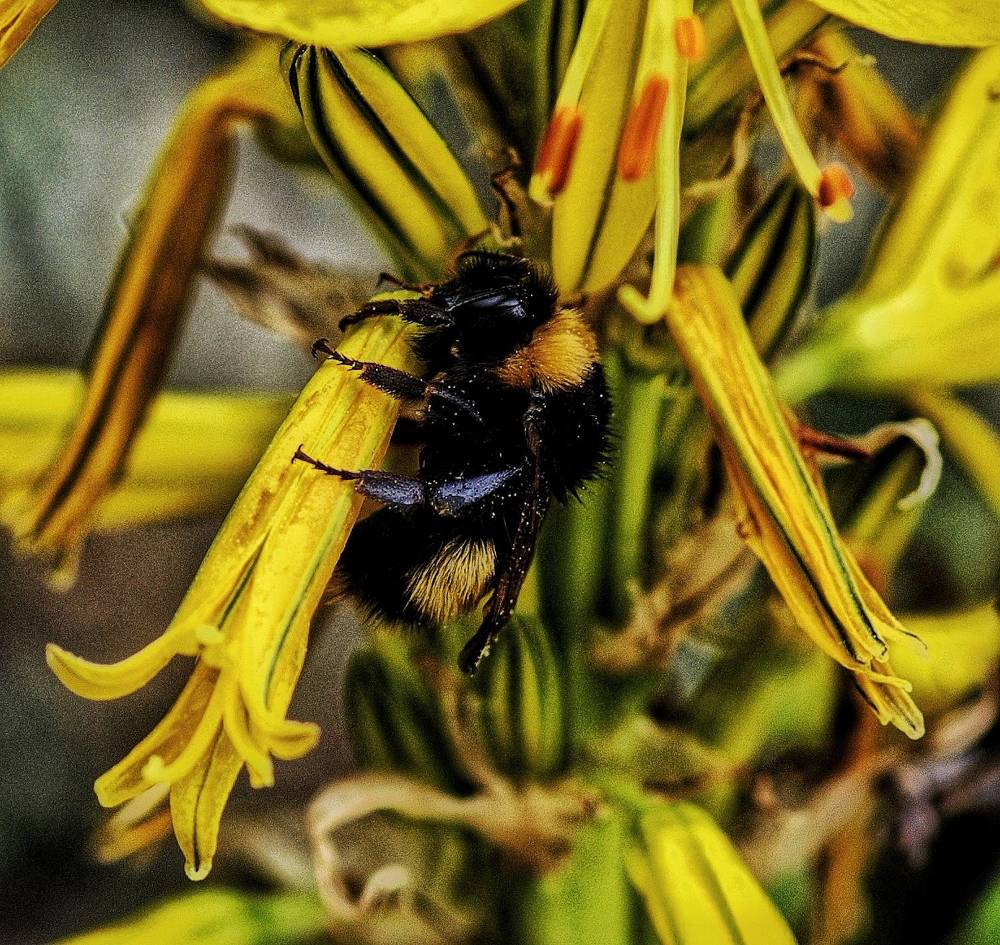 Photograph by Василиса Прекрасная