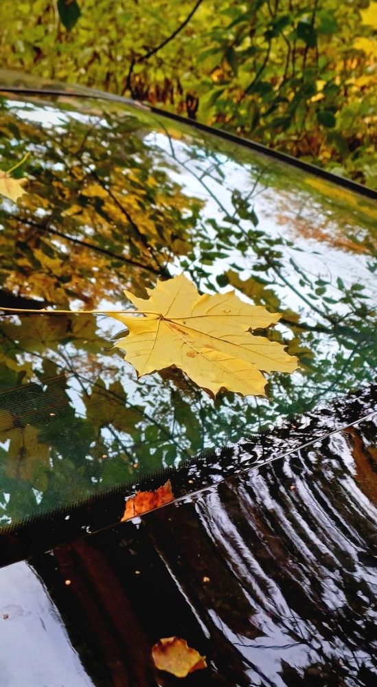 Photograph by Елена Воронова