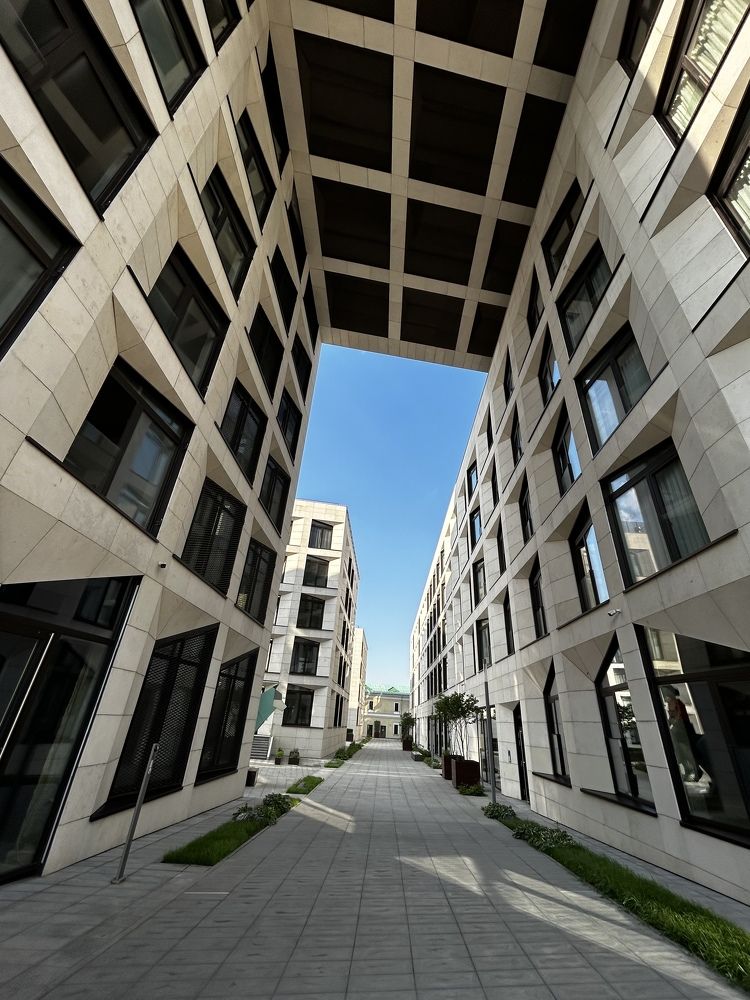 Photograph by Alex Rionir