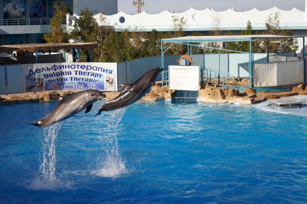 Photograph by Светлана Стрельцова