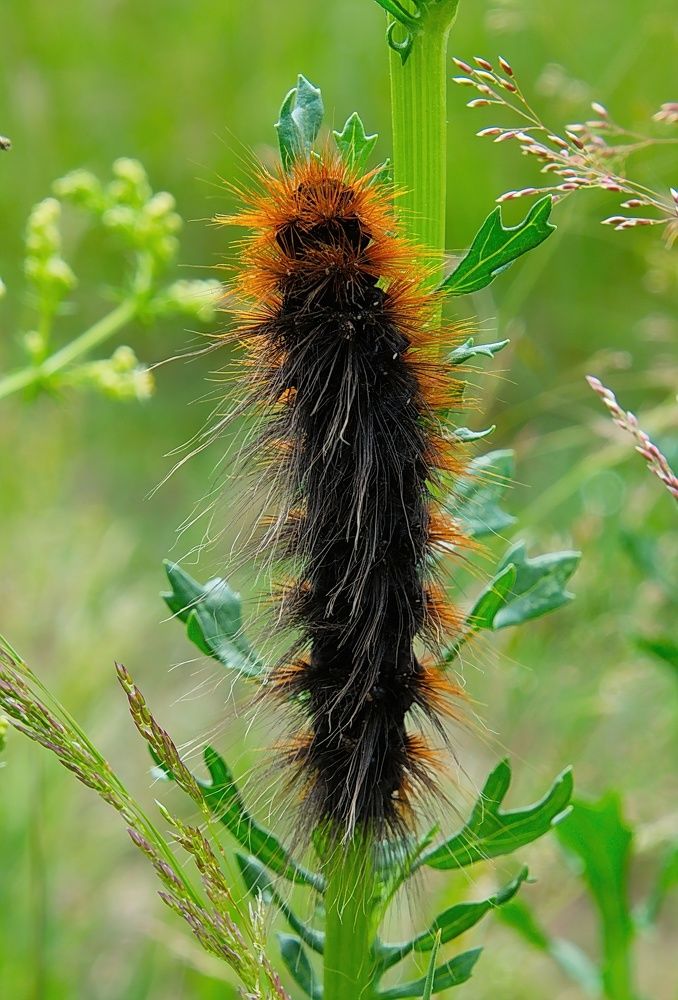 Photograph by Василий Быстрицкий