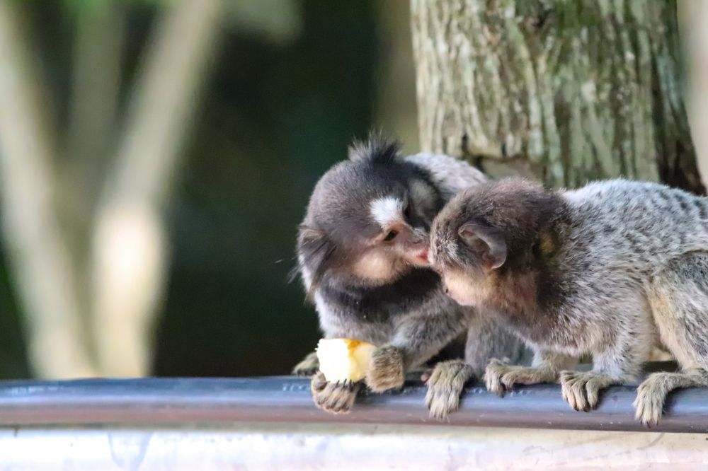 Photograph by Juliana