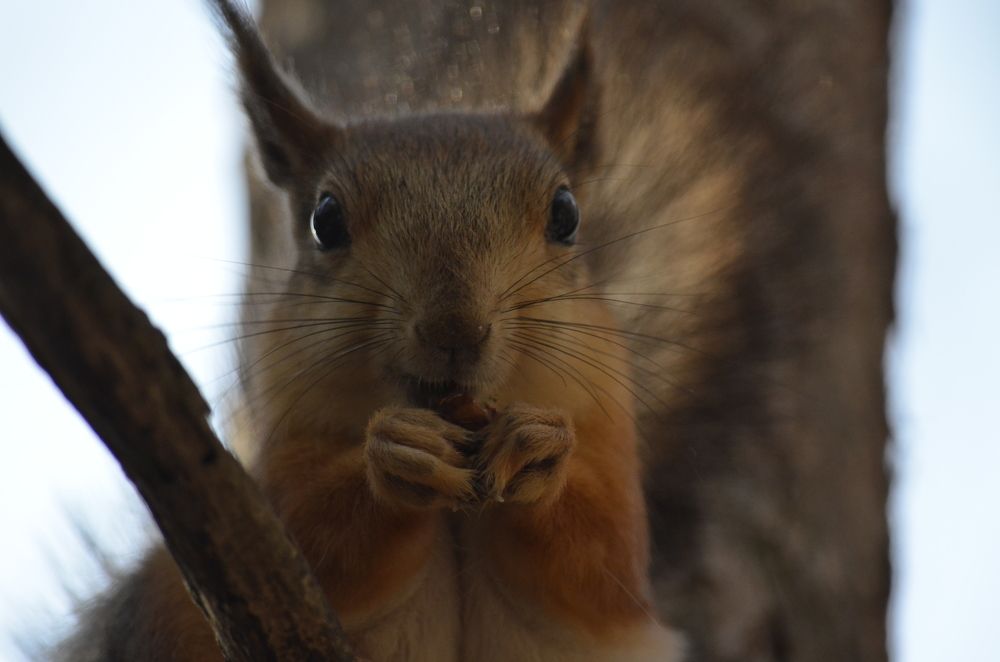 Фотография автора Алексей