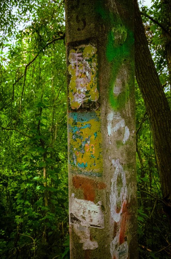 Фотография автора Анастасия Роговцова