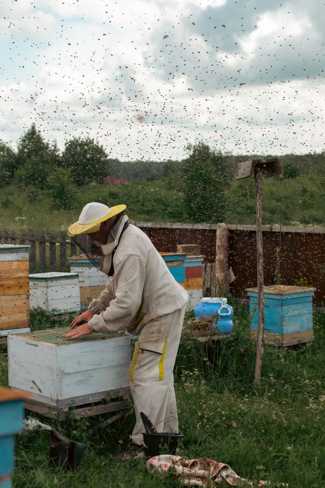 Photograph by Лина Матвеева