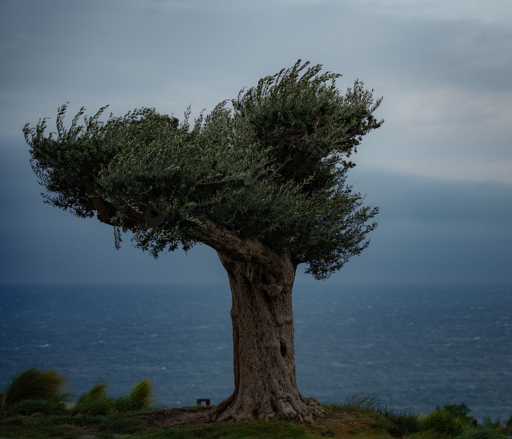 Photograph by Сергей Тишков