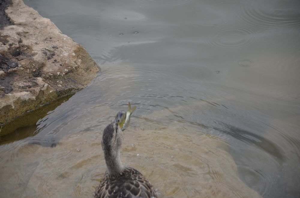Фотография автора Алексей