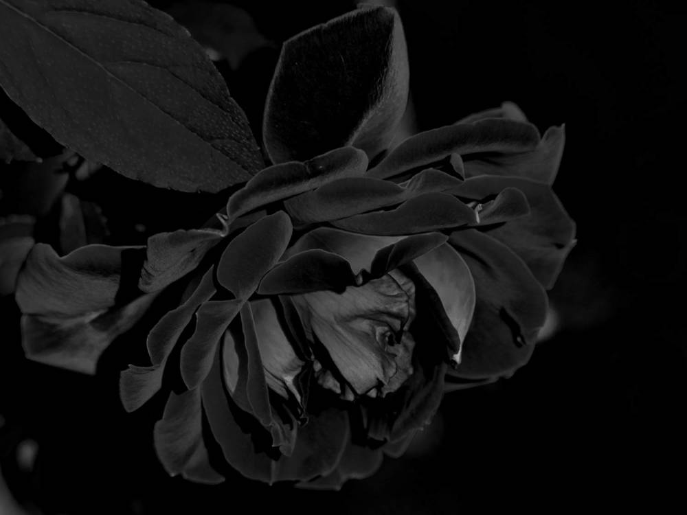 Photograph by Руслан Гончар