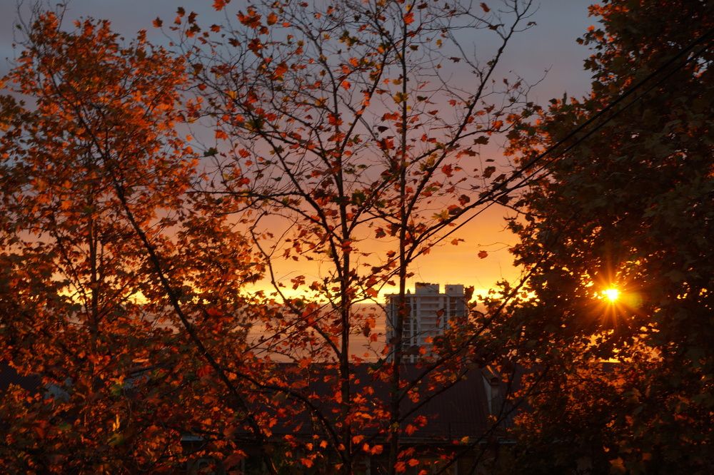 Photograph by Артём Пархоменко