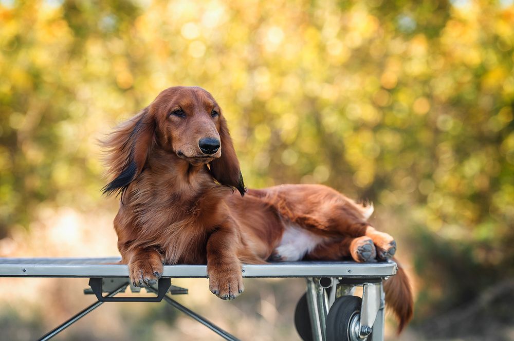 Photograph by Олег Гаричкин