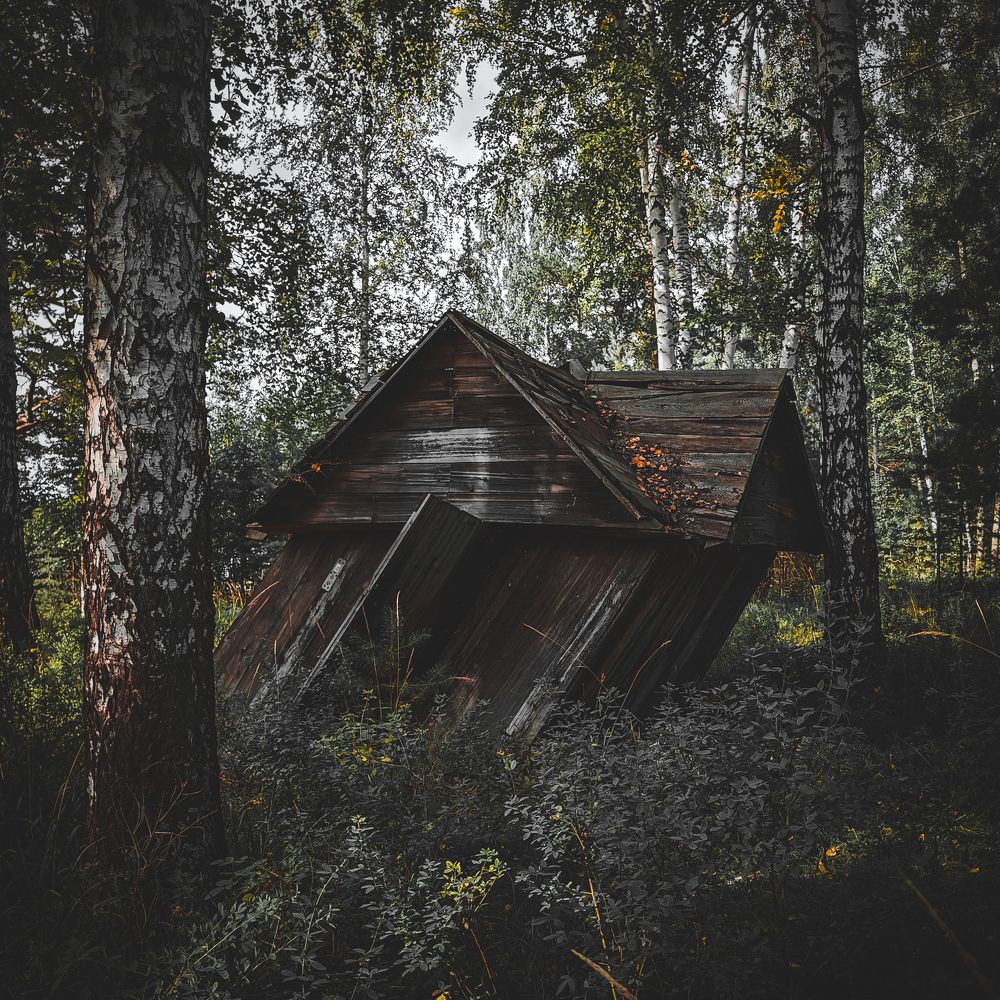 Photograph by Ден Змазнов