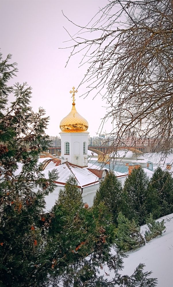 Photograph by Mishel Photographer