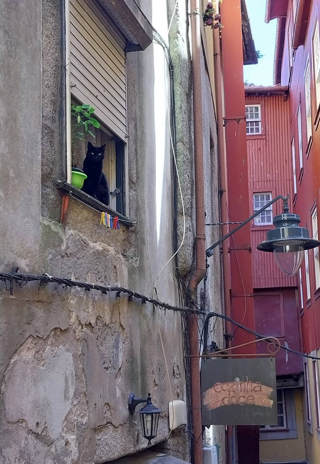 Photo #11304709