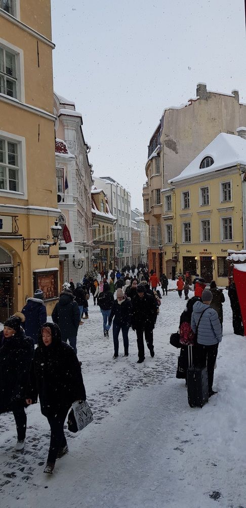 Зимний час пик в Таллинне.