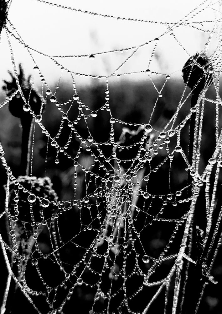 Photograph by Kirill Frolov