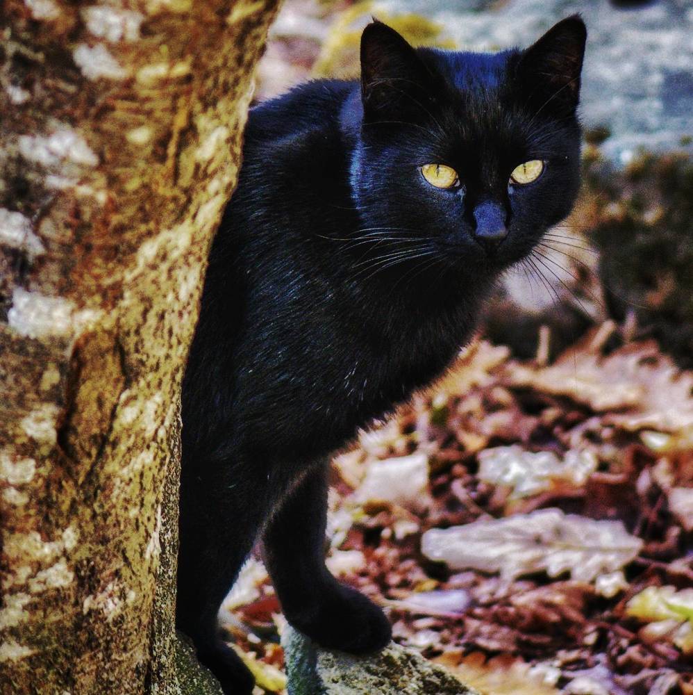 Photograph by Василиса Прекрасная