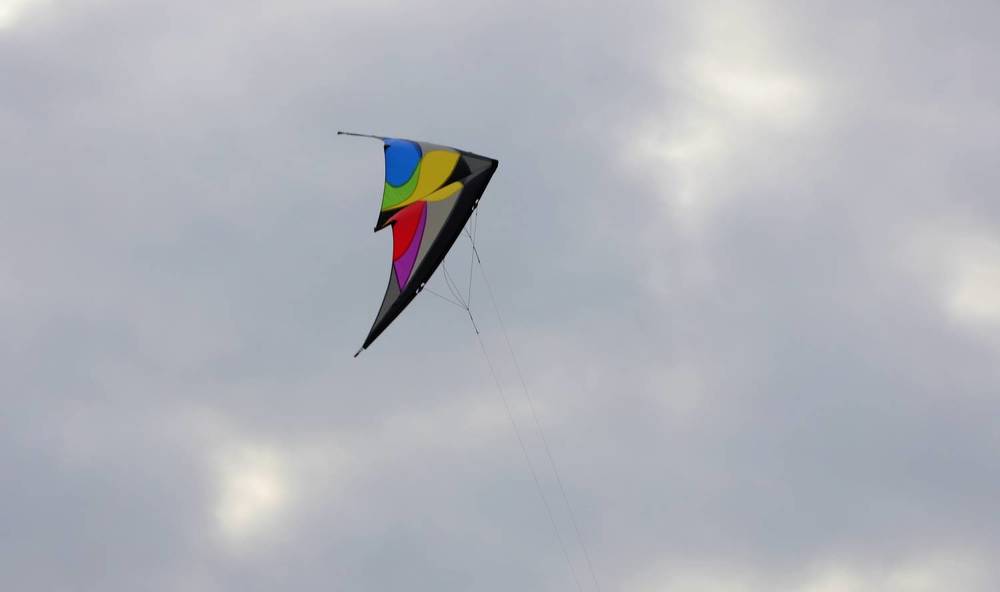 Photograph by елена