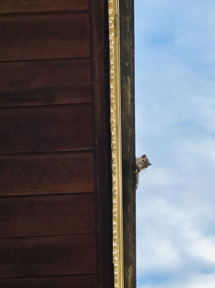 Photograph by Naveena Wimalarathne